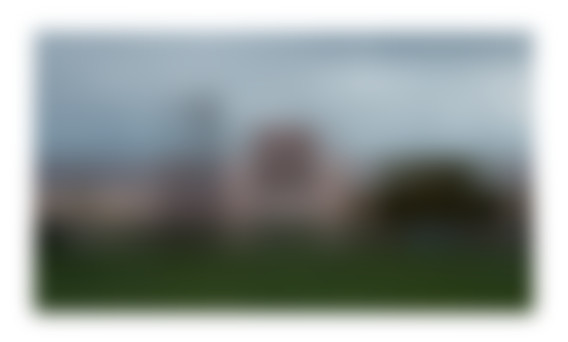 Placeholder blurred by CSS blur() filter